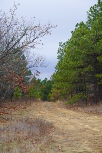 Oklahoma High Top Hunting Acreage For Sale Poteau Mountain - image 3