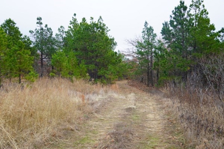 Oklahoma High Top Hunting Acreage For Sale Poteau Mountain - image 4
