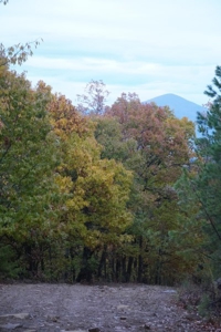 Oklahoma High Top Hunting Acreage For Sale Poteau Mountain - image 25