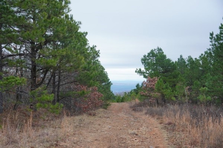 Oklahoma High Top Hunting Acreage For Sale Poteau Mountain - image 7
