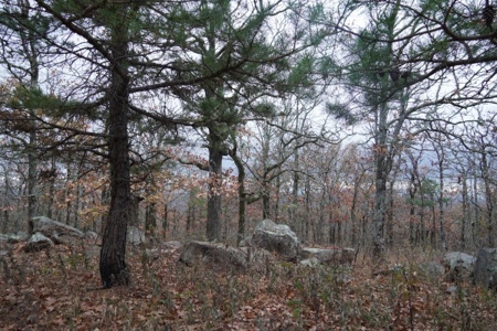 Oklahoma High Top Hunting Acreage For Sale Poteau Mountain - image 6