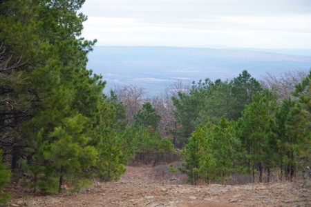 Oklahoma High Top Hunting Acreage For Sale Poteau Mountain - image 8