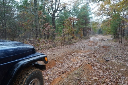 Oklahoma High Top Hunting Acreage For Sale Poteau Mountain - image 13