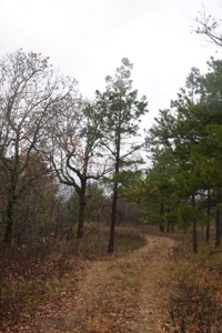 Oklahoma High Top Hunting Acreage For Sale Poteau Mountain - image 16