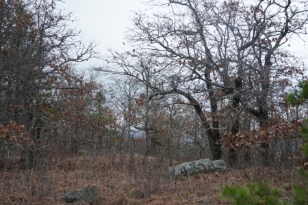 Oklahoma High Top Hunting Acreage For Sale Poteau Mountain - image 10