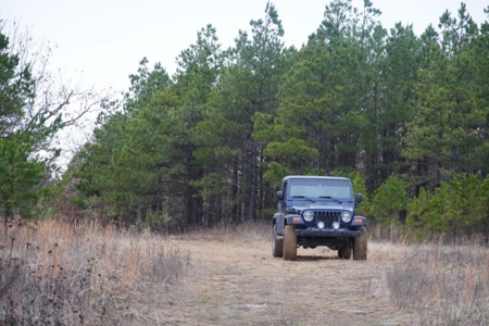 Oklahoma High Top Hunting Acreage For Sale Poteau Mountain - image 11