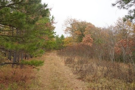 Oklahoma High Top Hunting Acreage For Sale Poteau Mountain - image 17