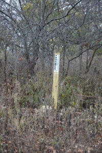Oklahoma High Top Hunting Acreage For Sale Poteau Mountain - image 2