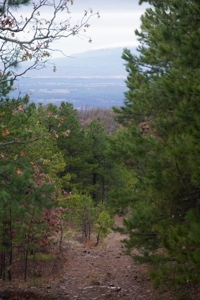 Oklahoma High Top Hunting Acreage For Sale Poteau Mountain - image 21