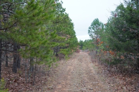 Oklahoma High Top Hunting Acreage For Sale Poteau Mountain - image 5