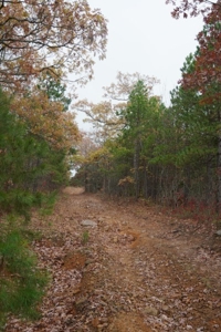 Oklahoma High Top Hunting Acreage For Sale Poteau Mountain - image 14