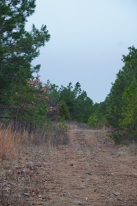 Oklahoma High Top Hunting Acreage For Sale Poteau Mountain - image 9