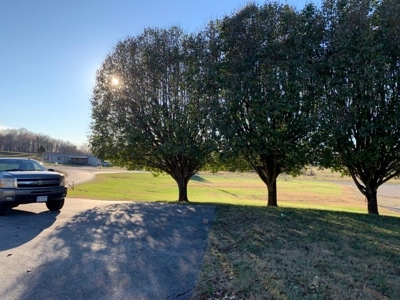 Accepted Offer in Clinton County, Kentucky - image 8