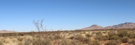 Beautiful Desert Property - image 2