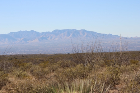 Beautiful Desert Property - image 14
