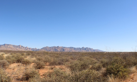 Beautiful Desert Property - image 6