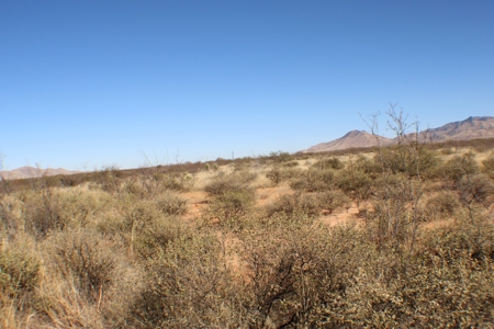 Beautiful Desert Property - image 8