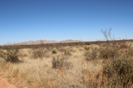 Beautiful Desert Property - image 4