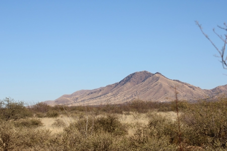 Beautiful Desert Property - image 13
