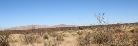 Beautiful Desert Property - image 3