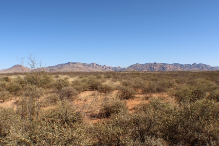 Beautiful Desert Property - image 5
