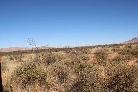 Beautiful Desert Property - image 9