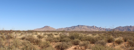 Beautiful Desert Property - image 1