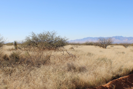 36 + ACRES with Spectacular views of the Dragoon Mtns in AZ - image 18