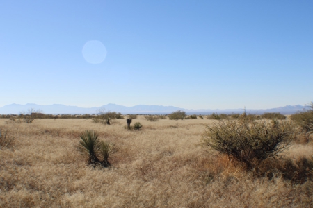 36 + ACRES with Spectacular views of the Dragoon Mtns in AZ - image 21