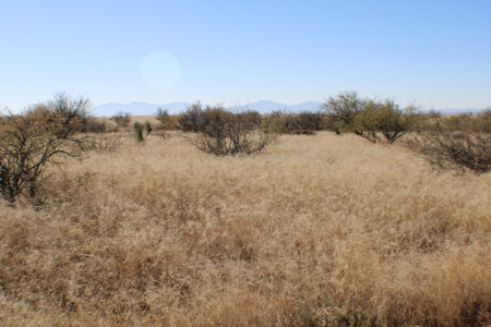 36 + ACRES with Spectacular views of the Dragoon Mtns in AZ - image 3