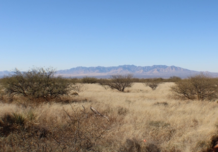 36 + ACRES with Spectacular views of the Dragoon Mtns in AZ - image 2