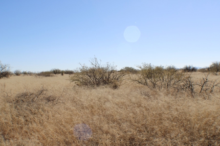 36 + ACRES with Spectacular views of the Dragoon Mtns in AZ - image 5