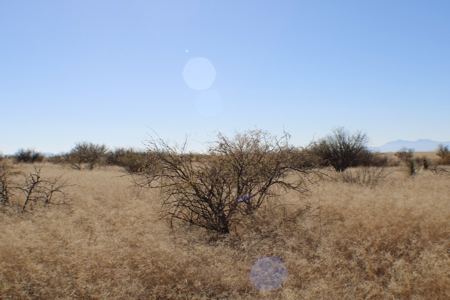 36 + ACRES with Spectacular views of the Dragoon Mtns in AZ - image 8