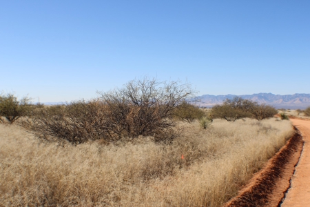 36 + ACRES with Spectacular views of the Dragoon Mtns in AZ - image 9