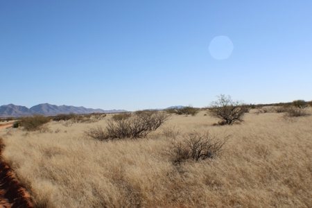 36 + ACRES with Spectacular views of the Dragoon Mtns in AZ - image 10