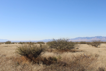 36 + ACRES with Spectacular views of the Dragoon Mtns in AZ - image 22