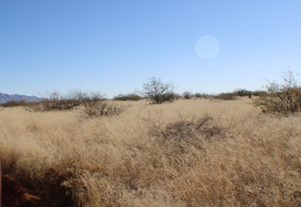 36 + ACRES with Spectacular views of the Dragoon Mtns in AZ - image 6