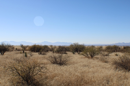 36 + ACRES with Spectacular views of the Dragoon Mtns in AZ - image 14