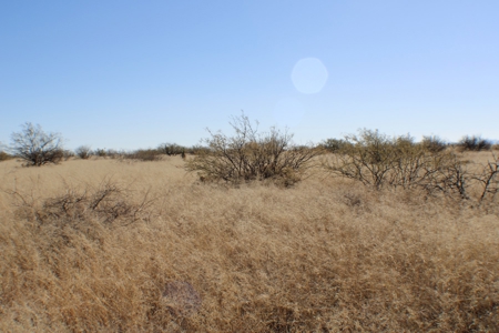 36 + ACRES with Spectacular views of the Dragoon Mtns in AZ - image 7