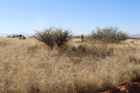 36 + ACRES with Spectacular views of the Dragoon Mtns in AZ - image 19