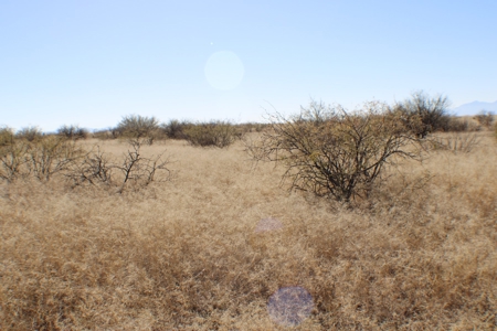 36 + ACRES with Spectacular views of the Dragoon Mtns in AZ - image 4