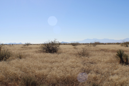 36 + ACRES with Spectacular views of the Dragoon Mtns in AZ - image 20