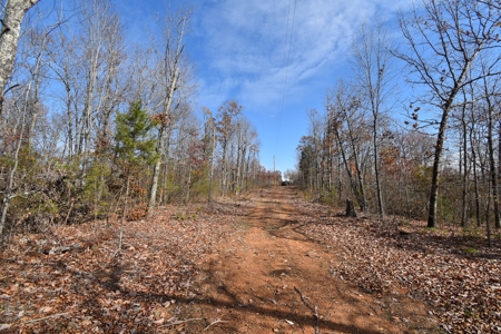 13.06 acre wooded tract with road frontage - image 7