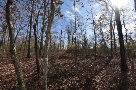 13.06 acre wooded tract with road frontage - image 4