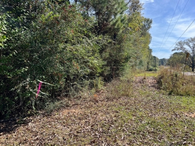 9.34 Wooded Acres for Sale Southwest MS - image 7