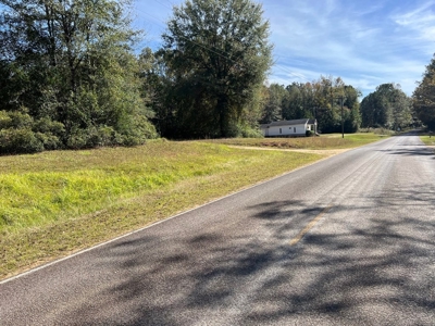 9.34 Wooded Acres for Sale Southwest MS - image 9