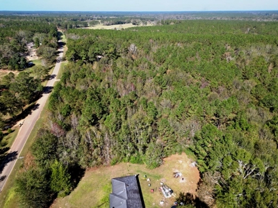 9.34 Wooded Acres for Sale Southwest MS - image 5
