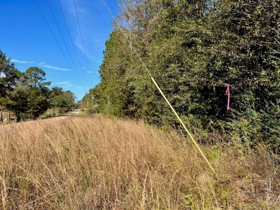 9.34 Wooded Acres for Sale Southwest MS - image 6