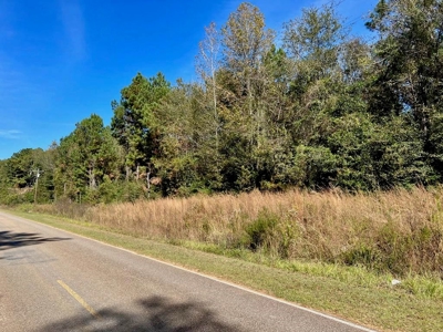9.34 Wooded Acres for Sale Southwest MS - image 1