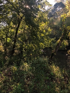 Riverfront Property For Sale Bogue Chitto River Mississippi - image 3